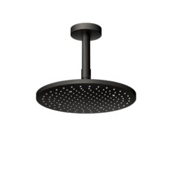 Bát sen tắm gắn trần TOTO TBW07002A1 (tròn 250 mm)