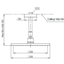 Bát sen tắm gắn trần TOTO TBW08002A1 (vuông, 250 mm)