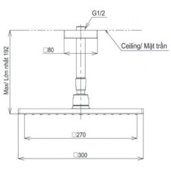 Bát sen tắm gắn trần TOTO TBW08003A1 (vuông, 300 mm)