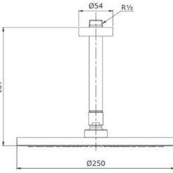 Bát sen tắm gắn trần TOTO TX491SN (tròn, 250mm)