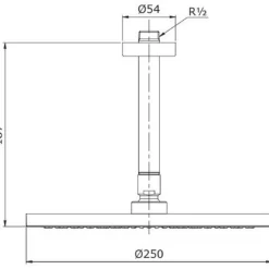 Bát sen tắm gắn trần TOTO TX491SN (tròn, 250mm)
