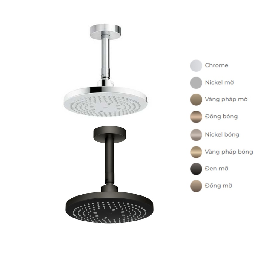 Bát sen tắm TOTO TBW01003B1A Bát sen tắm gắn trần tròn 220mm TOTO TBW01003B1A