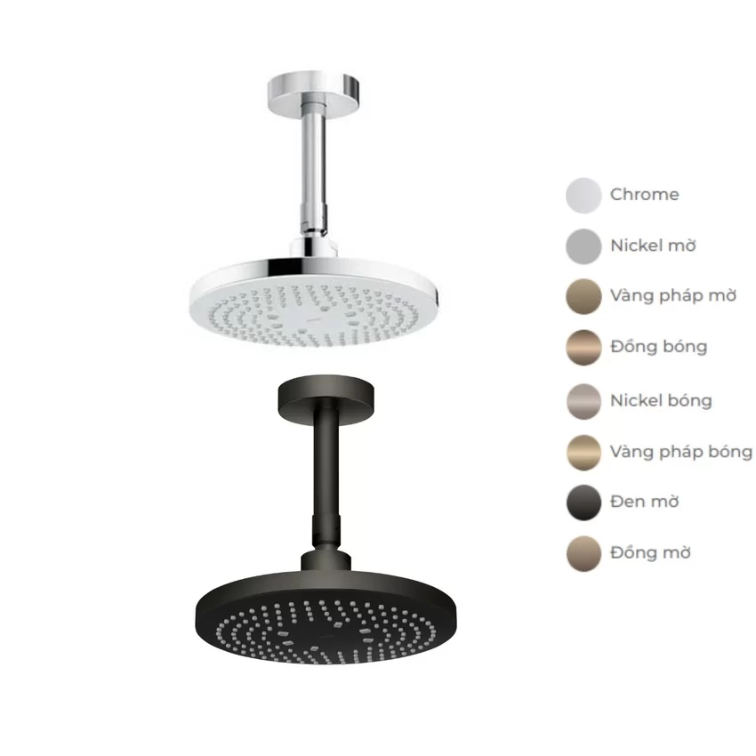 Bát sen tắm TOTO TBW01003B1A Bát sen tắm gắn trần tròn 220mm TOTO TBW01003B1A