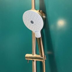 Tay sen tắm 3 chế độ TOTO TBW01010A