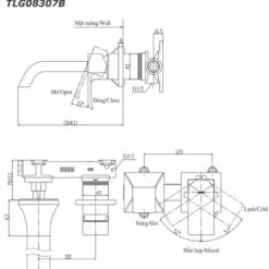Vòi lavabo nóng lạnh gắn tường GC TOTO TLG08307BA (TLG08307B)