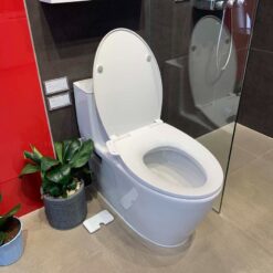 Bồn cầu 1 khối American Standard VF-1808TSW (VF1808TSW) nắp rửa cơ M4A839