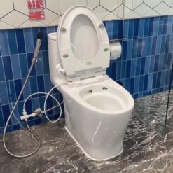 Bồn cầu 1 khối American Standard VF-1862SW (VF1862SW) nắp rửa cơ M4A839