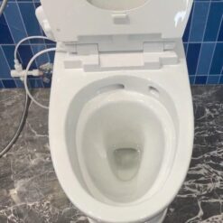 Bồn cầu 1 khối American Standard VF-1862SW (VF1862SW) nắp rửa cơ M4A839