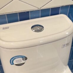 Bồn cầu 1 khối American Standard VF-1862SW (VF1862SW) nắp rửa cơ M4A839