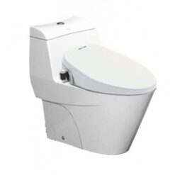 Bồn cầu 1 khối American Standard VF-2010S (VF2010S) nắp rửa cơ Slim