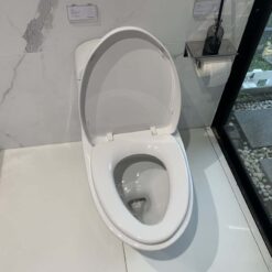 Bồn cầu 1 khối American Standard VF-2011 (VF2011) nắp êm dòng Active