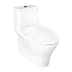 Bồn cầu 1 khối American Standard VF-2530SW (VF2530SW) nắp rửa cơ M4A839