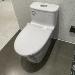 Bồn cầu 1 khối American Standard WP-1880 (WP1880) nắp êm dòng Signature