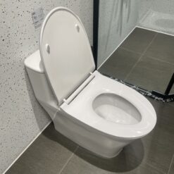 Bồn cầu 1 khối American Standard WP-1880 (WP1880) nắp êm dòng Signature