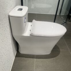 Bồn cầu 1 khối American Standard WP-1880 (WP1880) nắp êm dòng Signature