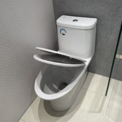 Bồn cầu 1 khối American Standard WP-2073 (WP2073) nắp êm dòng Neo Modern