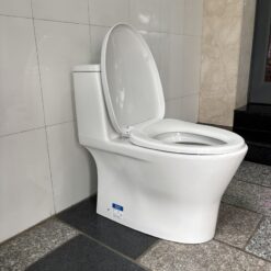 Bồn cầu 1 khối thoát ngang American Standard VF-2530P (VF2530P)