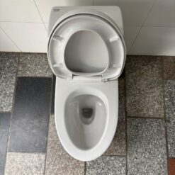 Bồn cầu 1 khối thoát ngang American Standard VF-2530P (VF2530P)