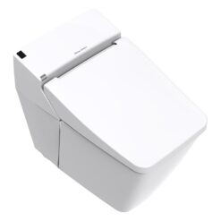 Bồn cầu điện tử thông minh American Standard WP-1806 (WP1806) dòng Acacia Evolution