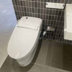 Bồn cầu điện tử thông minh American Standard WP-5017 (WP5017) dòng New AeroZen