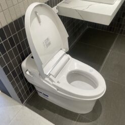 Bồn cầu điện tử thông minh American Standard WP-5017 (WP5017) dòng New AeroZen