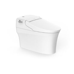 Bồn cầu điện tử thông minh American Standard WP-5017 (WP5017) dòng New AeroZen