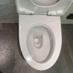 Bồn cầu treo tường American Standard VF-3119 (VF3119) nắp êm dòng Acacia Evolution