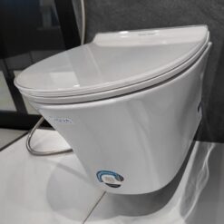 Bồn cầu treo tường American Standard WP-2140 (WP2140) nắp êm dòng Signature