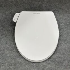 Nắp rửa cơ American Standard M4A839