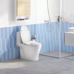 Nắp rửa cơ American Standard M4A839