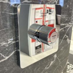 Nút điều chỉnh đầu sen tắm American Standard FFAS0926