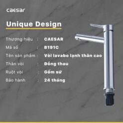 Vòi chậu lavabo lạnh Caesar B191C