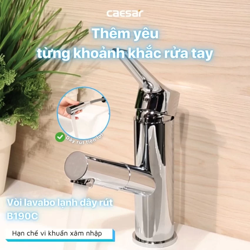 Vòi chậu lavabo lạnh dây rút Caesar B190C Vòi chậu lavabo lạnh dây rút Caesar B190C - 3