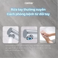 Vòi chậu lavabo lạnh dây rút Caesar B190C 15 Vòi chậu lavabo lạnh dây rút Caesar B190C