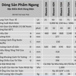 Bình nước nóng gián tiếp Rheem Mekong