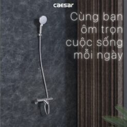 Bộ sen cây tắm đứng nhiệt độ Caesar BS124+TS617