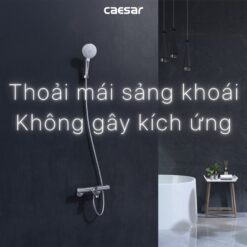 Bộ sen cây tắm đứng nhiệt độ Caesar BS124+TS617
