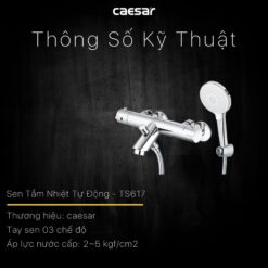 Bộ sen cây tắm đứng nhiệt độ Caesar BS124+TS617