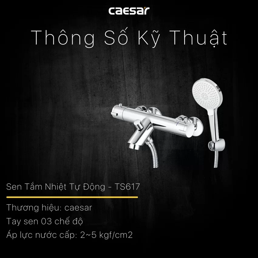 Bộ sen cây tắm đứng nhiệt độ Caesar BS124+TS617 11 Bộ sen cây tắm đứng nhiệt độ Caesar BS124+TS617