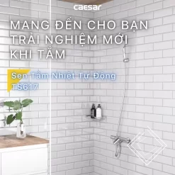 Bộ sen cây tắm đứng nhiệt độ Caesar BS124+TS617 26 Bộ sen cây tắm đứng nhiệt độ Caesar BS124+TS617