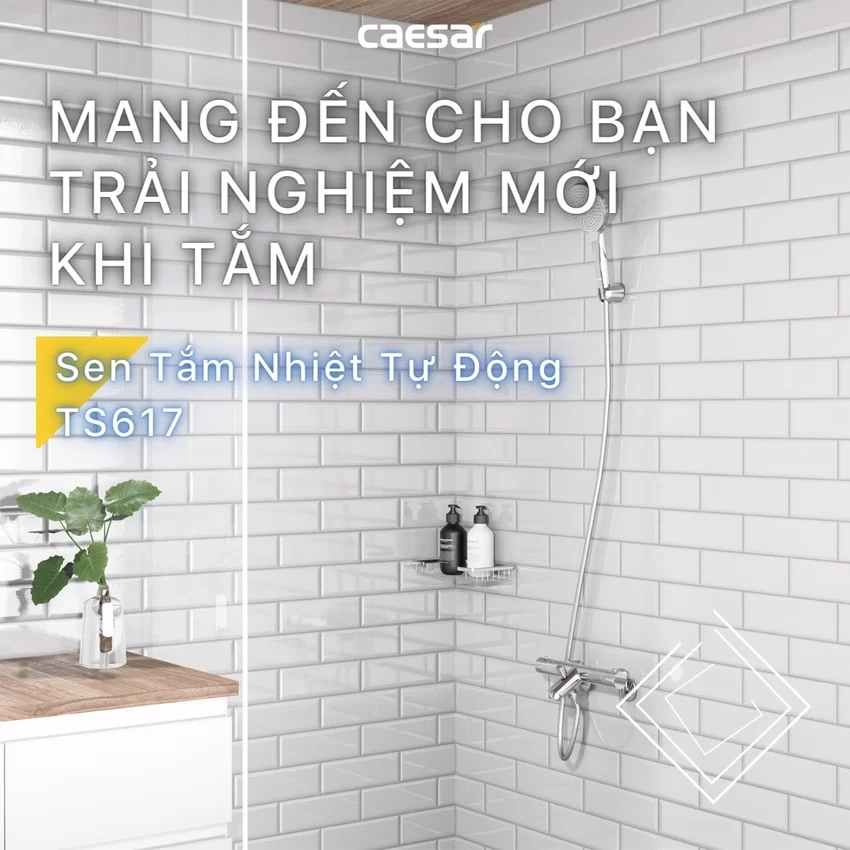 Bộ sen cây tắm đứng nhiệt độ Caesar BS124+TS617 14 Bộ sen cây tắm đứng nhiệt độ Caesar BS124+TS617