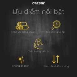 Bộ sen cây tắm đứng nhiệt độ Caesar BS124+TS617
