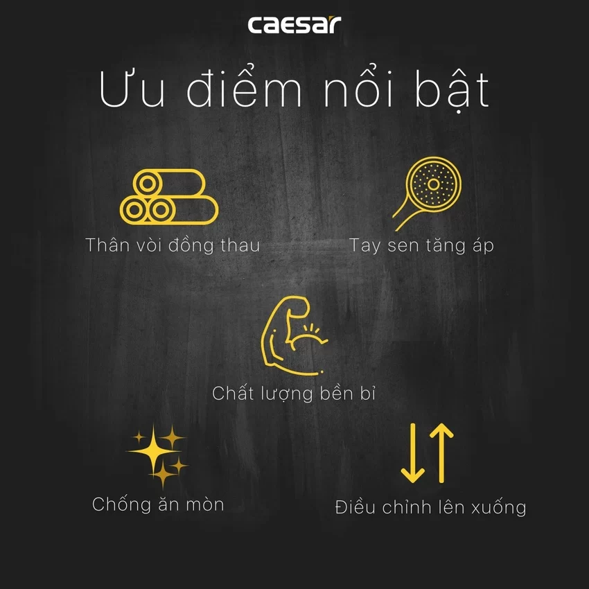 Bộ sen cây tắm đứng nhiệt độ Caesar BS124+TS617 15 Bộ sen cây tắm đứng nhiệt độ Caesar BS124+TS617