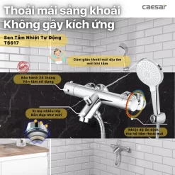 Bộ sen cây tắm đứng nhiệt độ Caesar BS126+TS617 13 Bộ sen cây tắm đứng nhiệt độ Caesar BS126+TS617
