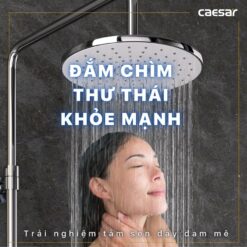 Bộ sen cây tắm đứng nhiệt độ Caesar BS126+TS617