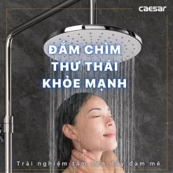 Bộ sen cây tắm đứng nhiệt độ Caesar BS126+TS617 15 Bộ sen cây tắm đứng nhiệt độ Caesar BS126+TS617