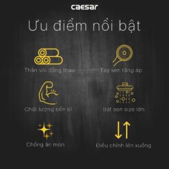 Bộ sen cây tắm đứng nóng lạnh Caesar BS124+S173C 20 Bộ sen cây tắm đứng nóng lạnh Caesar BS124+S173C