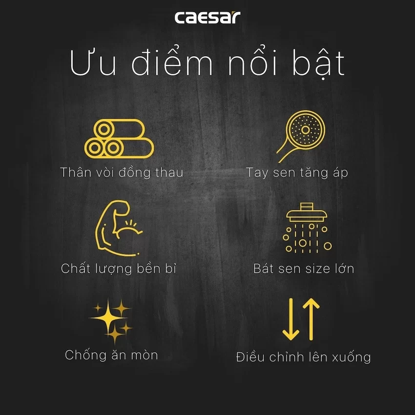 Bộ sen cây tắm đứng nóng lạnh Caesar BS124+S173C 11 Bộ sen cây tắm đứng nóng lạnh Caesar BS124+S173C