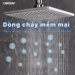 Bộ sen cây tắm đứng nóng lạnh Caesar BS124+S403C 12 Bộ sen cây tắm đứng nóng lạnh Caesar BS124+S403C