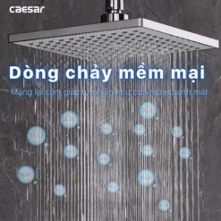 Bộ sen cây tắm đứng nóng lạnh Caesar BS124+S553C